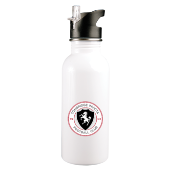 stainless steel 600ml bottle with straw