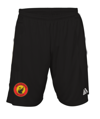 Solar Goalkeepers Shorts (Printed Badge)