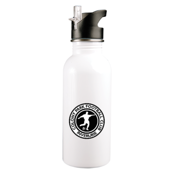 Stainless Steel 600ml Bottle With Straw (Printed badge)