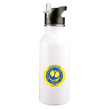 stainless steel 600ml bottle with straw - juniors