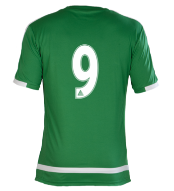 Rio Football Shirt - please confirm your squad number before ordering (Printed Badge) Green/White