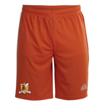 2023/24 3rd kit shorts