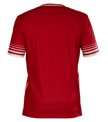 Club Home Shirt (Embroidered Badge)