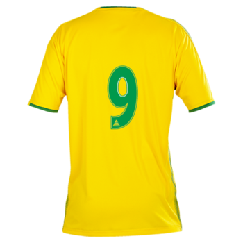 Club Shirt (Embroidered Badge) Yellow/Green