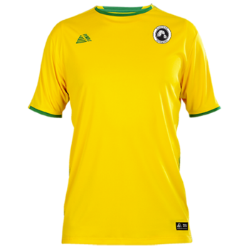 Club Shirt (Embroidered Badge) Yellow/Green