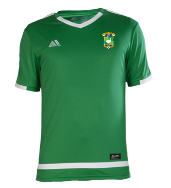 Club Shirt (Embroidered badge) Green/White