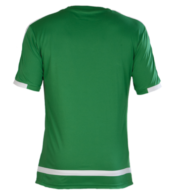 Club Shirt (Embroidered badge) Green/White