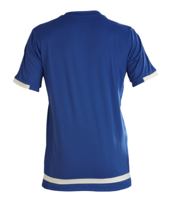 Club Training Shirt  Royal/White