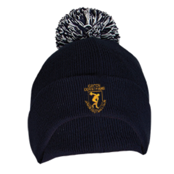 Bobble Hat (Embroidered Badge)